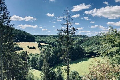 2-days hike in the heart of the Ardennes forest (2 days/1 night)