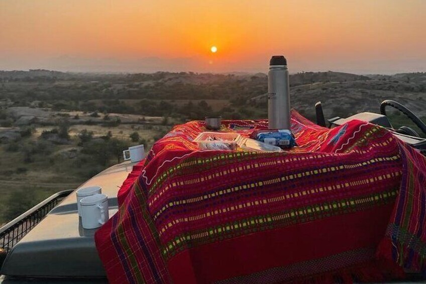 Jawai Leopard Wildlife Safari
