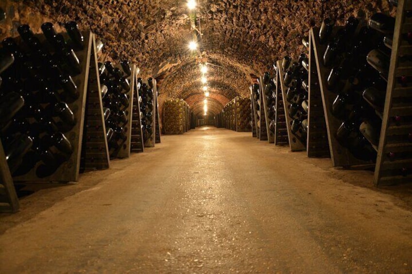 Champagne's cellars