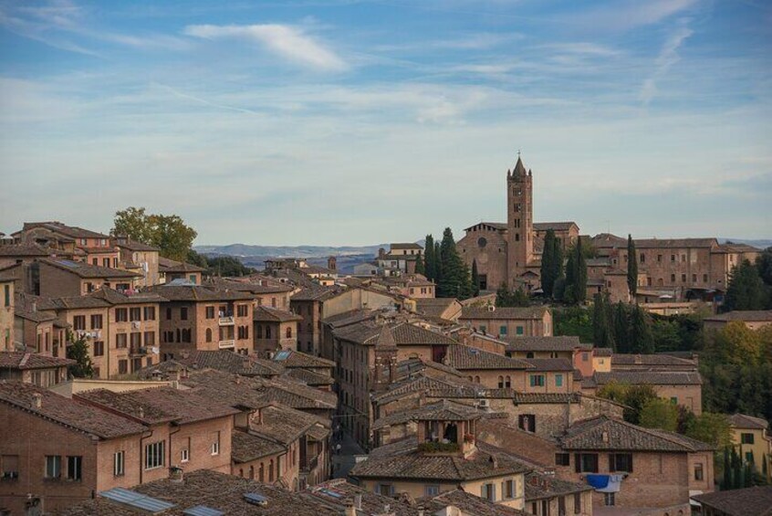 Siena Walking Food Tour