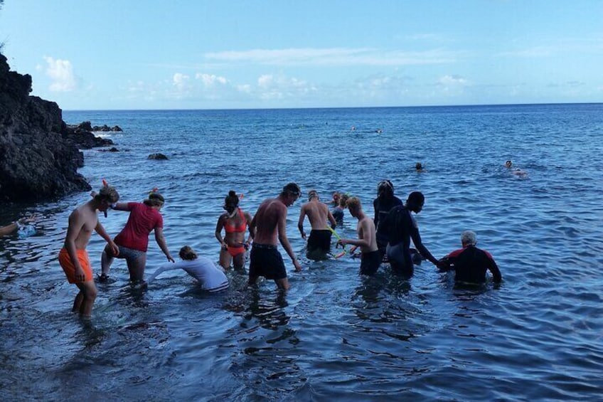 Champagne Reef Snorkeling 