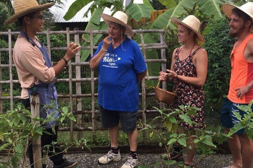 Chiang Mai Organic Farm Thai Cooking Class