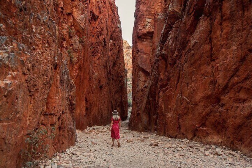 West MacDonnell Ranges & Standley Chasm Day Trip from Alice Springs