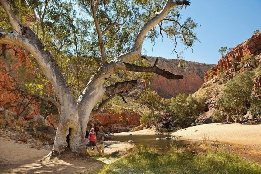 West MacDonnell Ranges & Standley Chasm Day Trip from Alice Springs