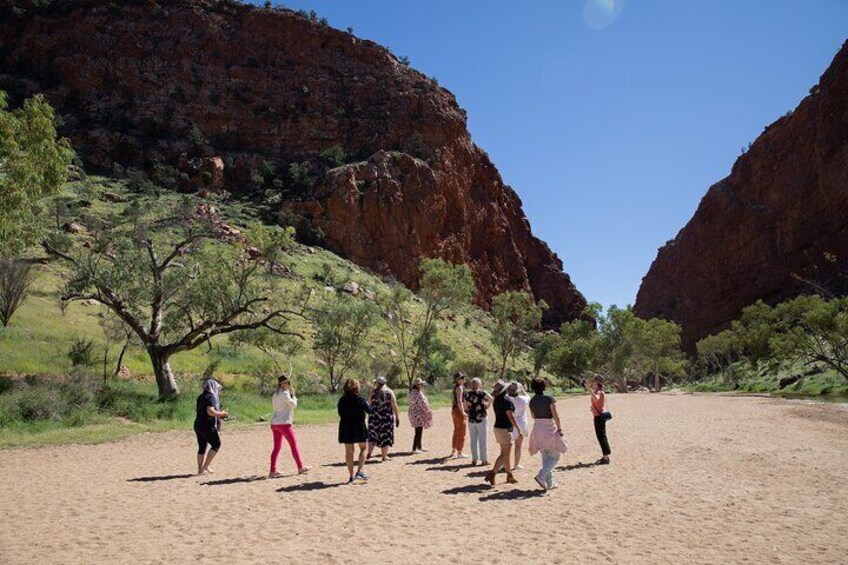 West MacDonnell Ranges & Standley Chasm Day Trip from Alice Springs