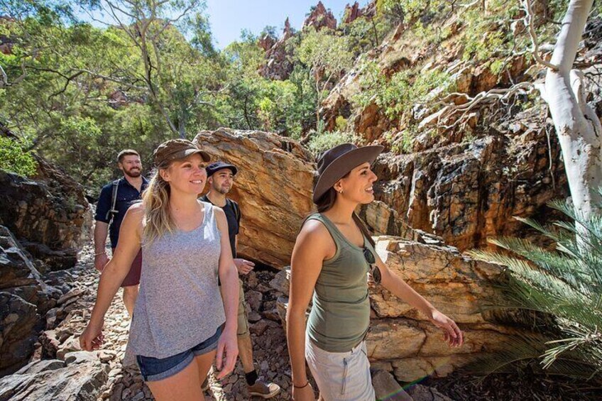 West MacDonnell Ranges & Standley Chasm Day Trip from Alice Springs