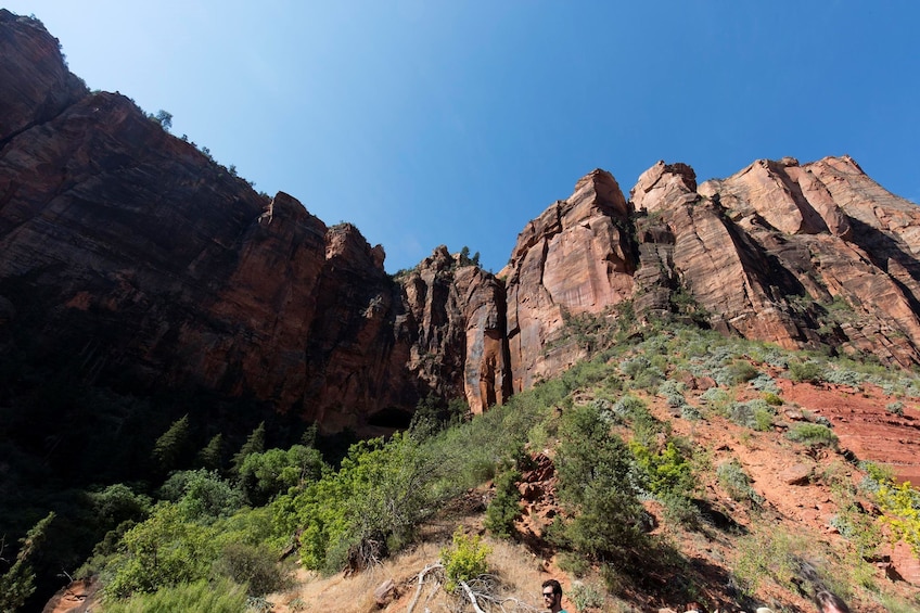 1 Day Tour at Valley of Fire and Zion Park