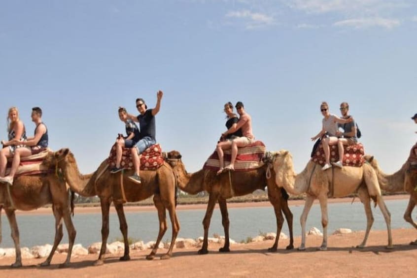 Camel Trek & BBQ Experience