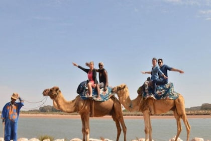 Kamelvandring och BBQ-upplevelse vid solnedgången från Agadir