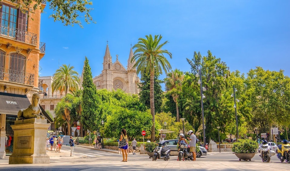 Palma de Majorca: Trivia Tour “Two in One” with Self-Guided Audio Tour