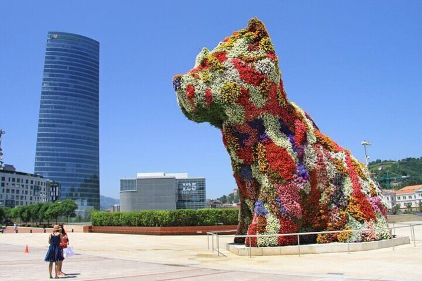 Guggenheim Bilbao Museum Private Tour