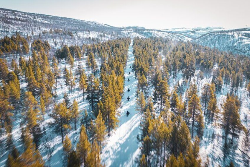 Historical Snowmobile Tour Across Finnmarksvidda