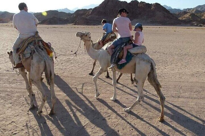 Luxor private City Tour Camel Ride &Felucca With transfer