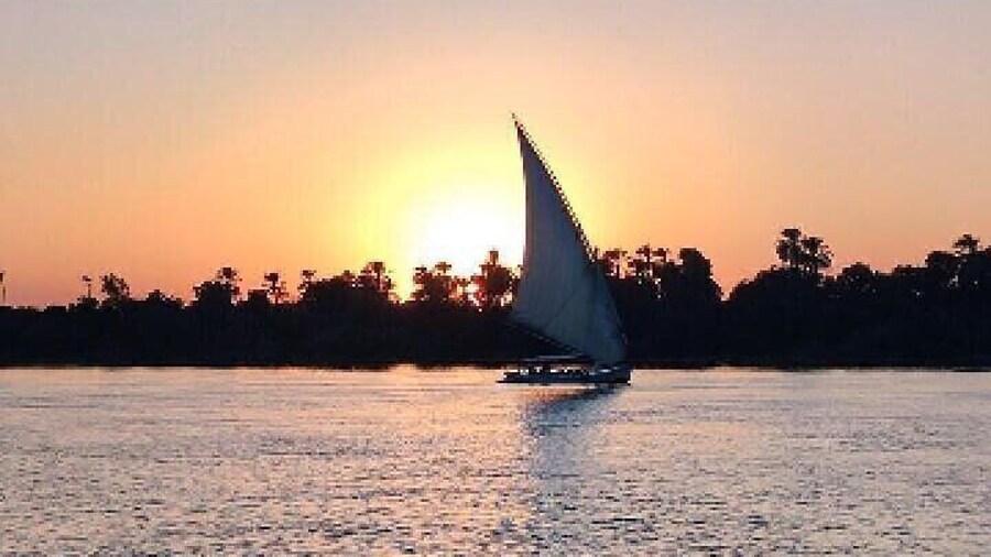 Luxor private City Tour With Camel Ride and Felucca