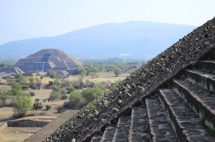 Den arkeologiska platsen Teotihuacan Biljett