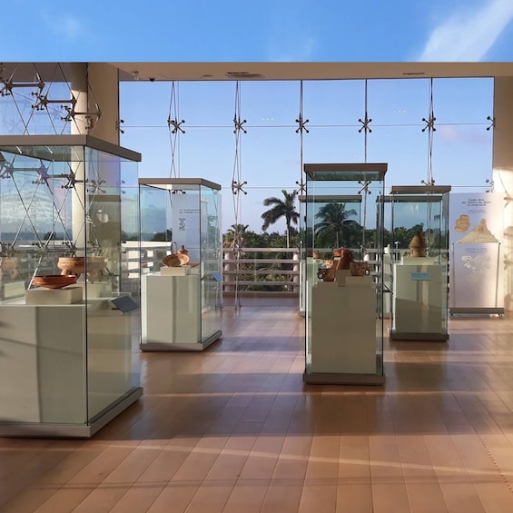 Cancun Mayan Museum & San Miguelito Ticket