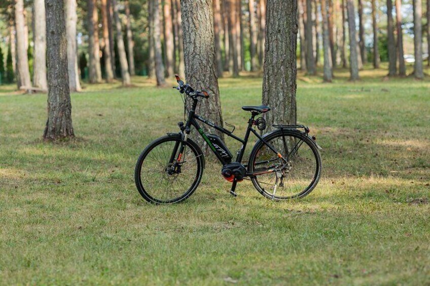 Electric Bicycle Rental in Zlatibor, Serbia