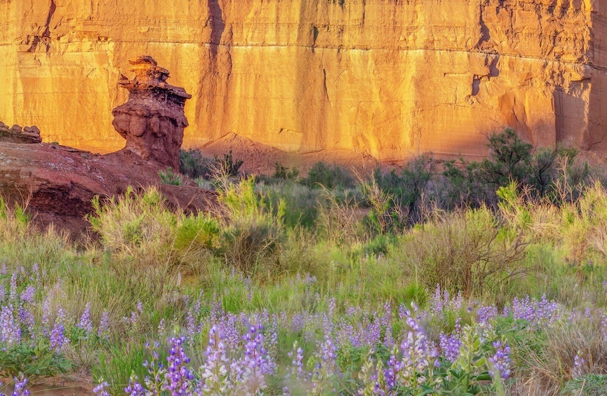 Picture 8 for Activity Capitol Reef National Park: Cathedral Valley Day Trip