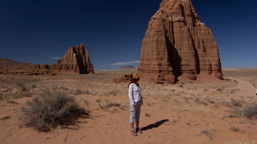 Capitol Reef National Park: Cathedral Valley Day Trip