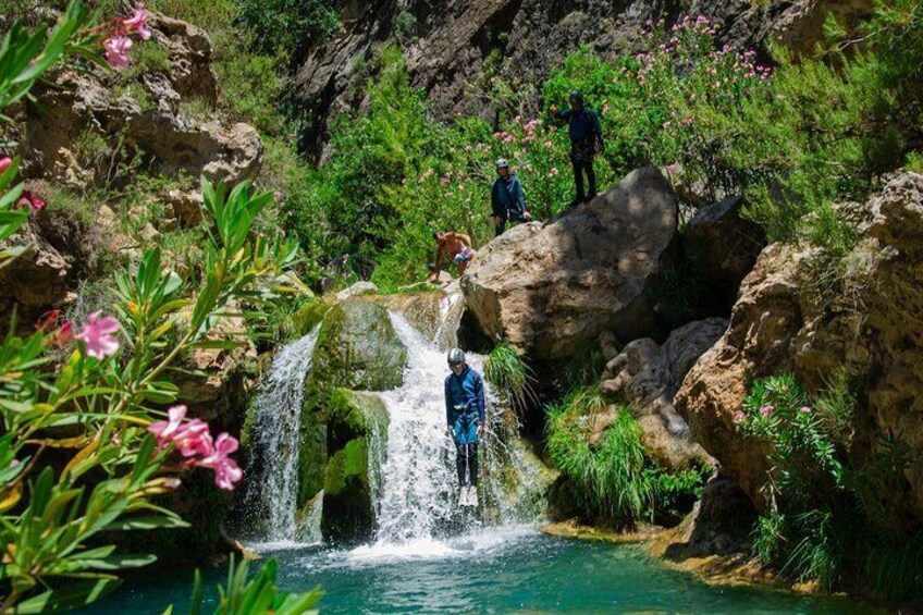 Natural pool jump