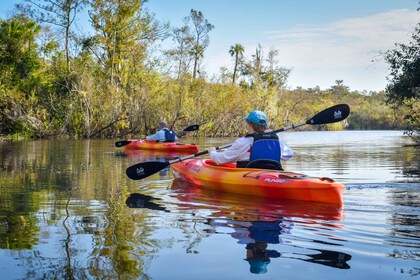 Everglades Stad: Begeleide kajaktocht door de wetlands