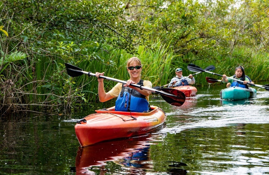 Picture 5 for Activity Everglades City: Guided Kayaking Tour of the Wetlands