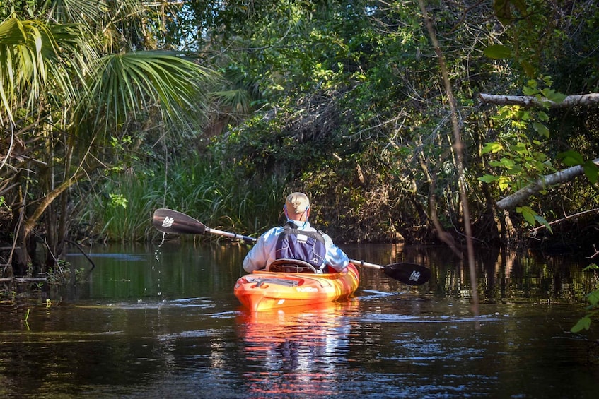 Picture 3 for Activity Everglades City: Guided Kayaking Tour of the Wetlands