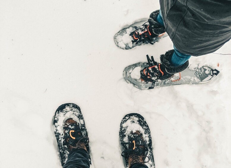 Picture 7 for Activity Sarajevo: Experience Snowsheing on the Olympic Mountains