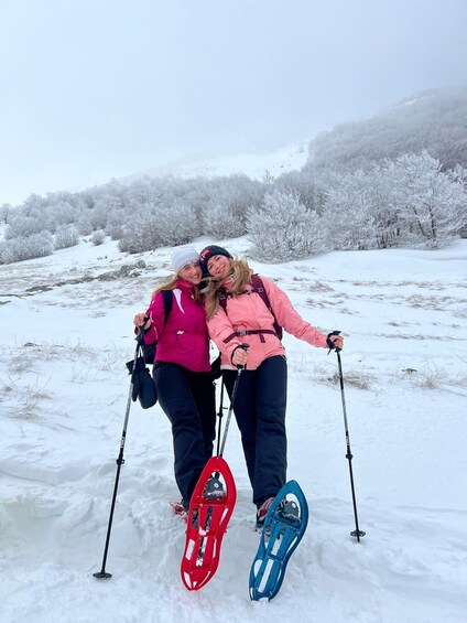 Picture 11 for Activity Sarajevo: Experience Snowsheing on the Olympic Mountains