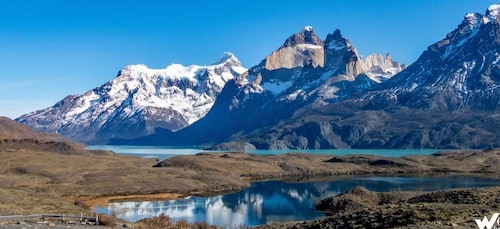 Puerto Natales: Torres del Paine Park Full-Day Hike