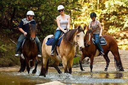 3-Hour Horse-Back Riding in Marmaris National Park