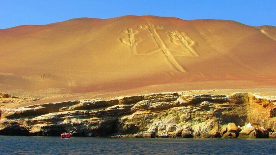 From Huacachina Ballestas Island Tour and Paracas Reserve