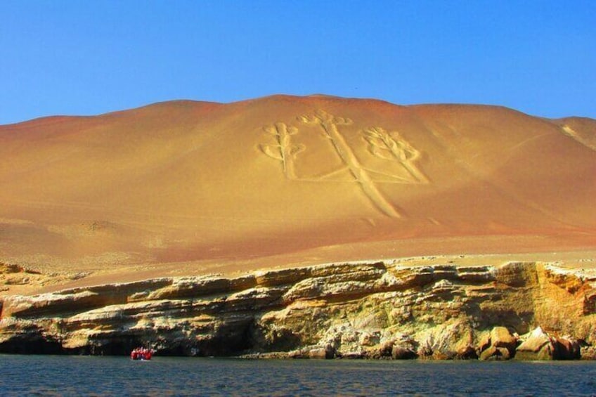 From Huacachina Ballestas Island Tour and Paracas Reserve