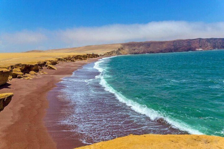 Mini Buggy in Paracas National Reserve