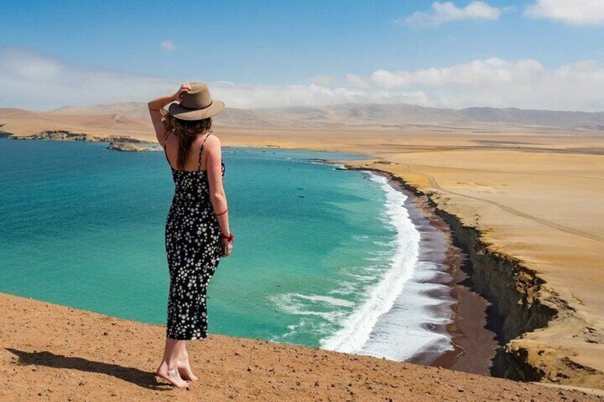 Mini Buggy in Paracas National Reserve