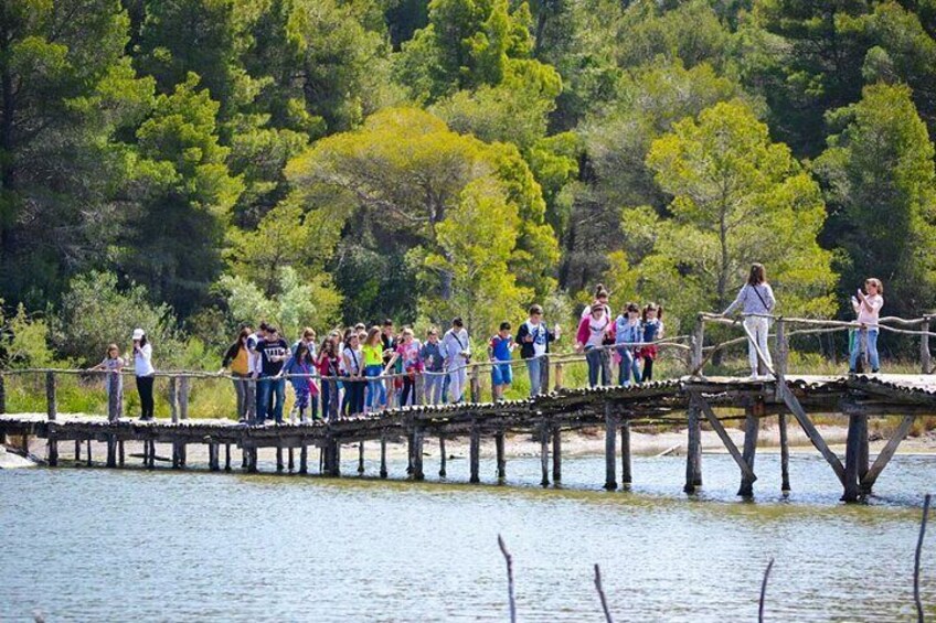 Karavasta Lagoon and Adrenica Monastery Private Tour from Durres