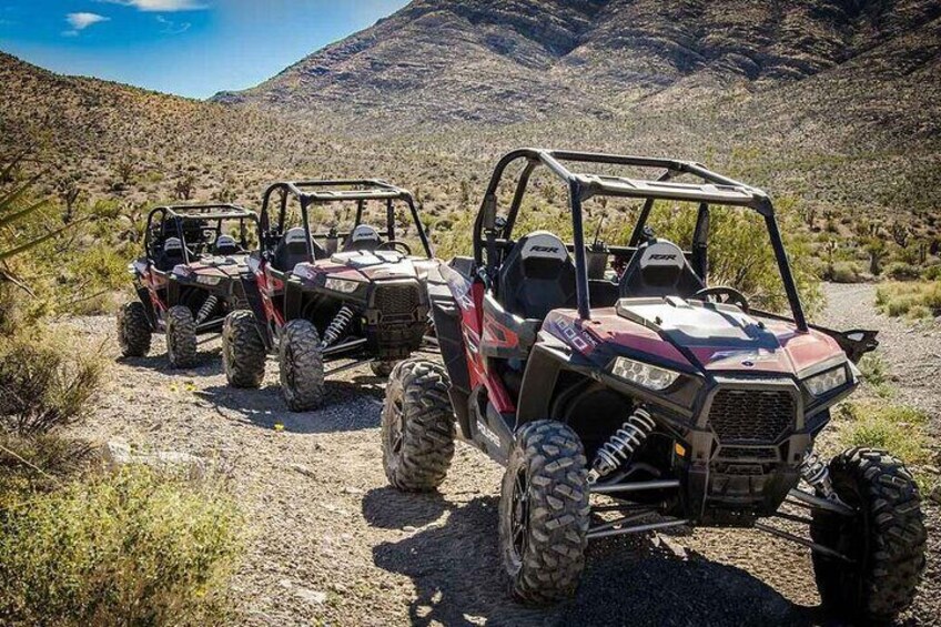 Las Vegas SxS UTV Rental