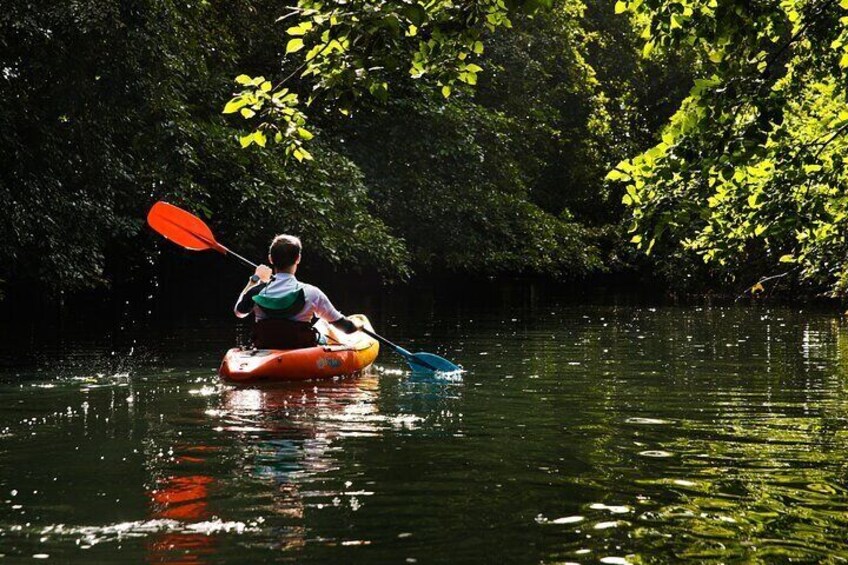 Kayaking the Tamarin River