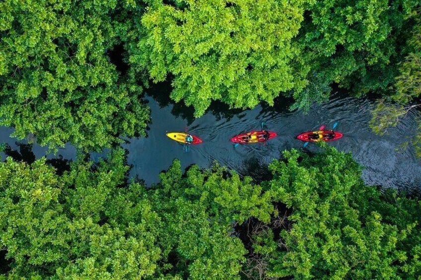 Kayaking the Tamarin River