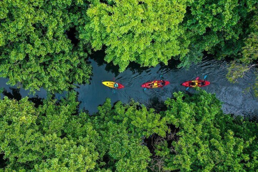 Kayaking the Tamarin River