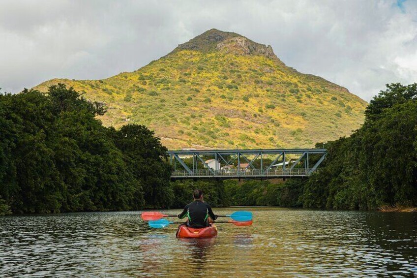 Kayaking the Tamarin River