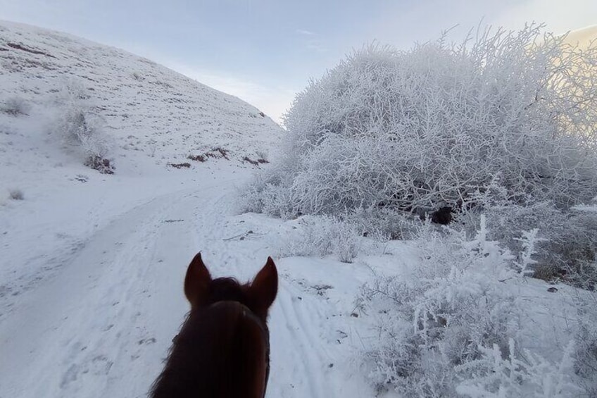 3 days winter horse back riding to Song-Kul lake 