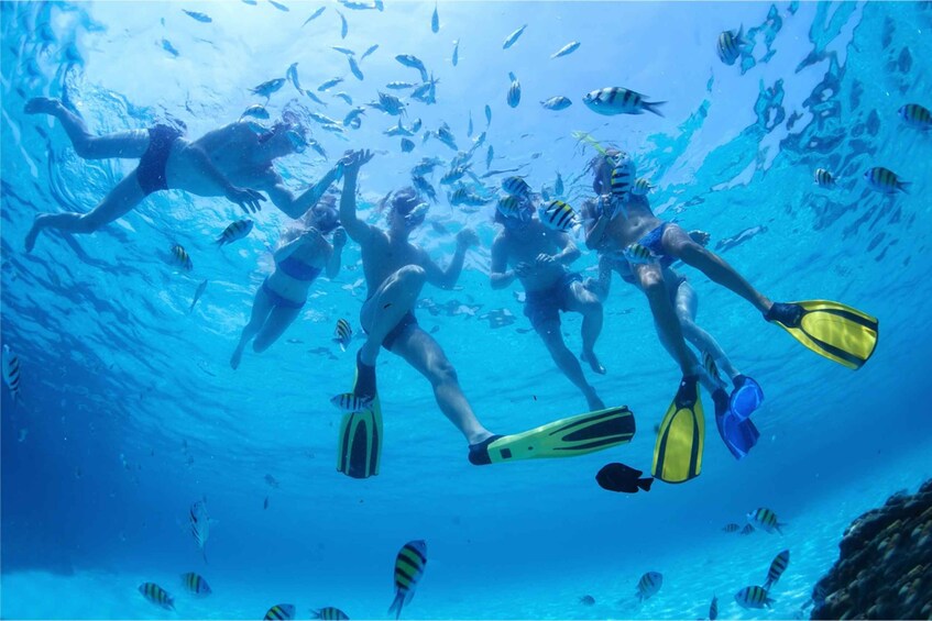 Picture 18 for Activity From Lanzarote: Sailing Day Trip Around La Graciosa