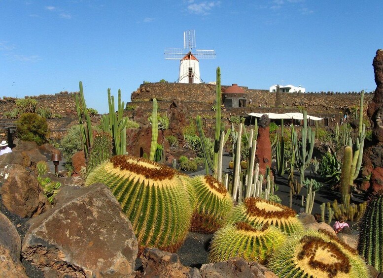 Picture 4 for Activity Lanzarote Coast-2-Coast Tour