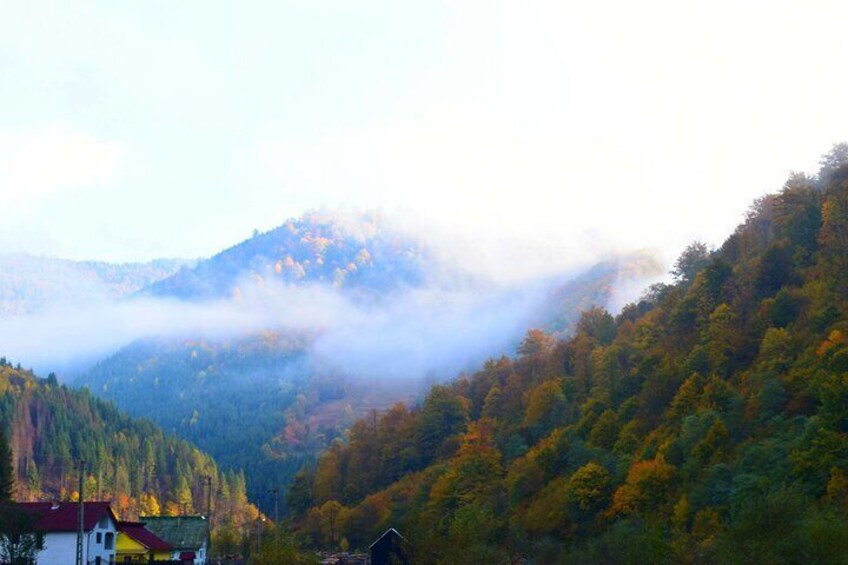 Peles Castle & Carpathian Peaks: A Royal Journey Group Tour