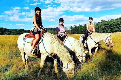 Horseback Riding Tour in Bohemian Switzerland