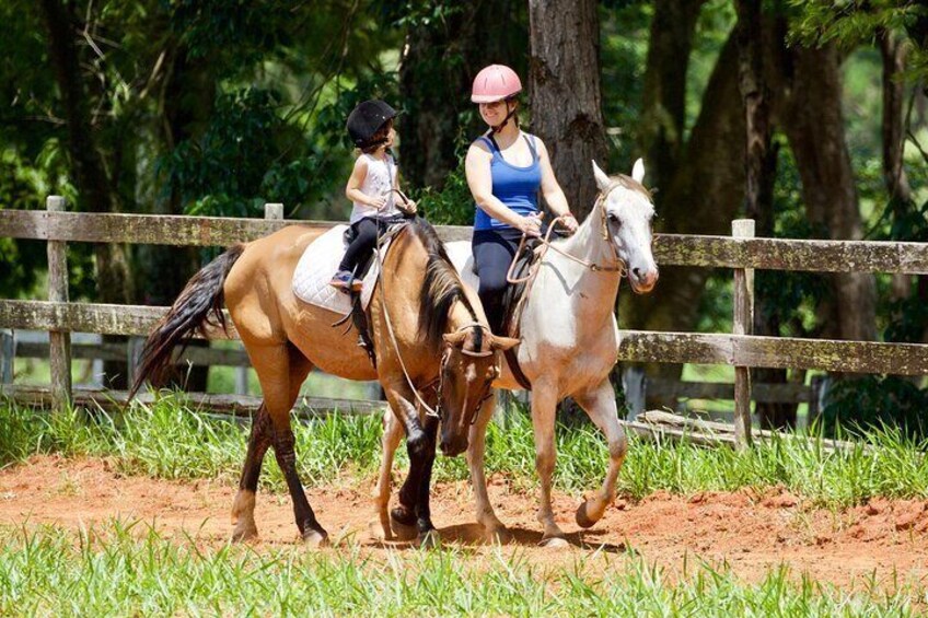 Horseback Riding Tour in Bohemian Switzerland