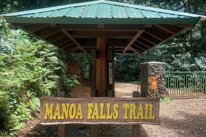 Mānoa Falls Trail Hiking Shuttle
