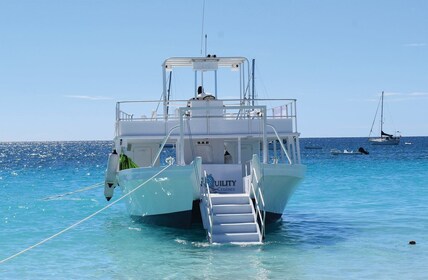 Barbados: Carlisle Bay Strandtag und Schildkrötenschwimmen