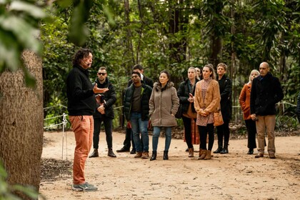 Adelaida: visita cultural guiada al Jardín Botánico de Adelaida